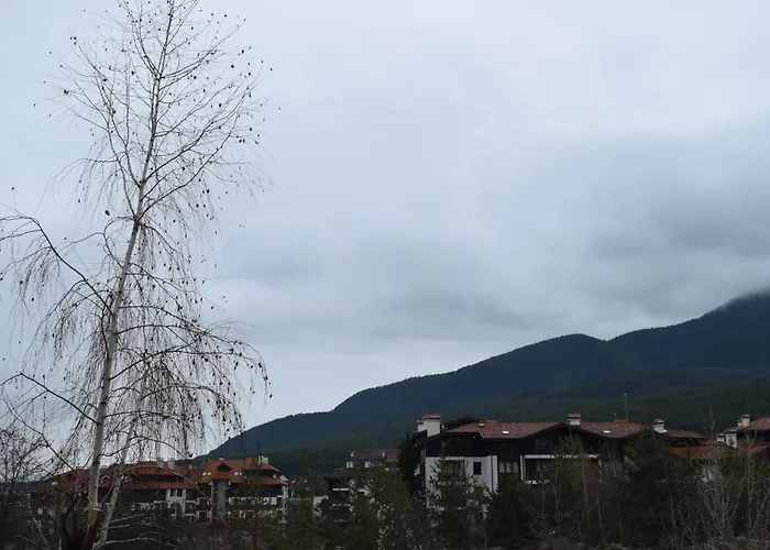 супер луксозен в Winslow Daire Bansko